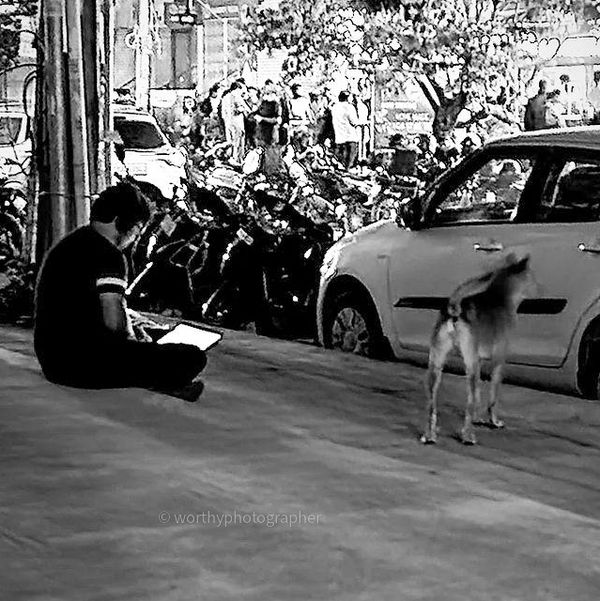 If you throw a stone in Bangalore, it will hit a dog or a Software Engineer